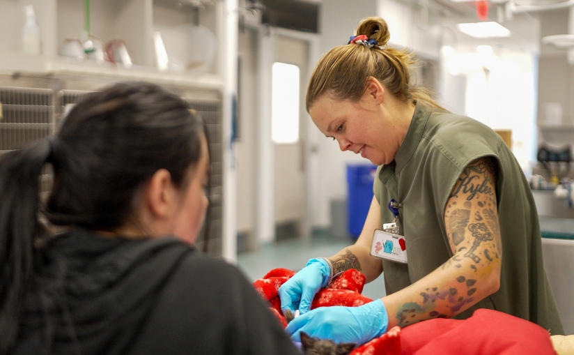 Two staff members performing surgery on a patient.