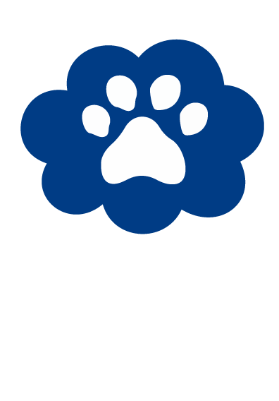 Dog Paw icon blue 