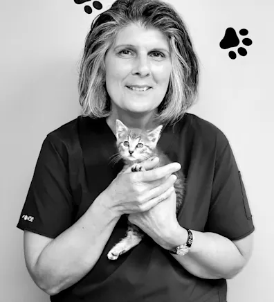 Cindy's staff photo from Peotone Animal Hospital 