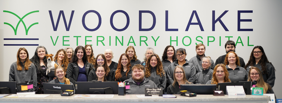 Our incredible team!