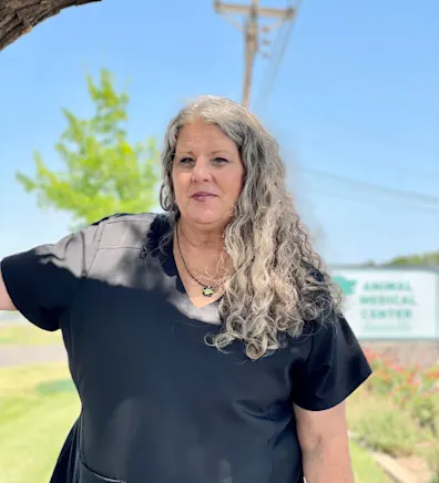 Pam Willis Pam Willis