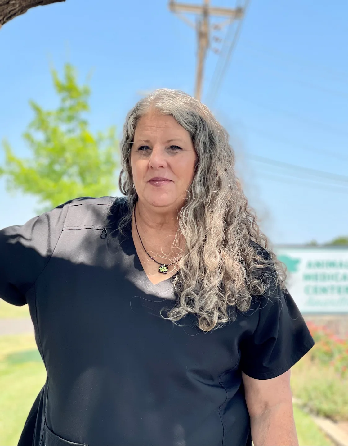 Pam Willis Pam Willis