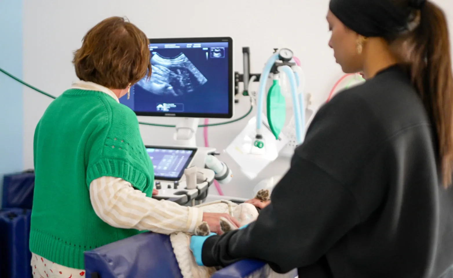 Two staff members performing an ultrasound on a patient Two staff members performing an ultrasound on a patient