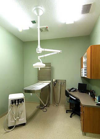 Braden River Animal Hospital Surgery Room