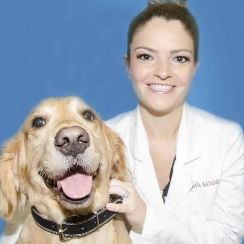 Dr. Akbulut Dr. Akbulut