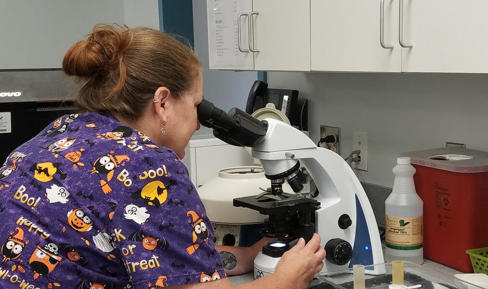Woman looking through microscope