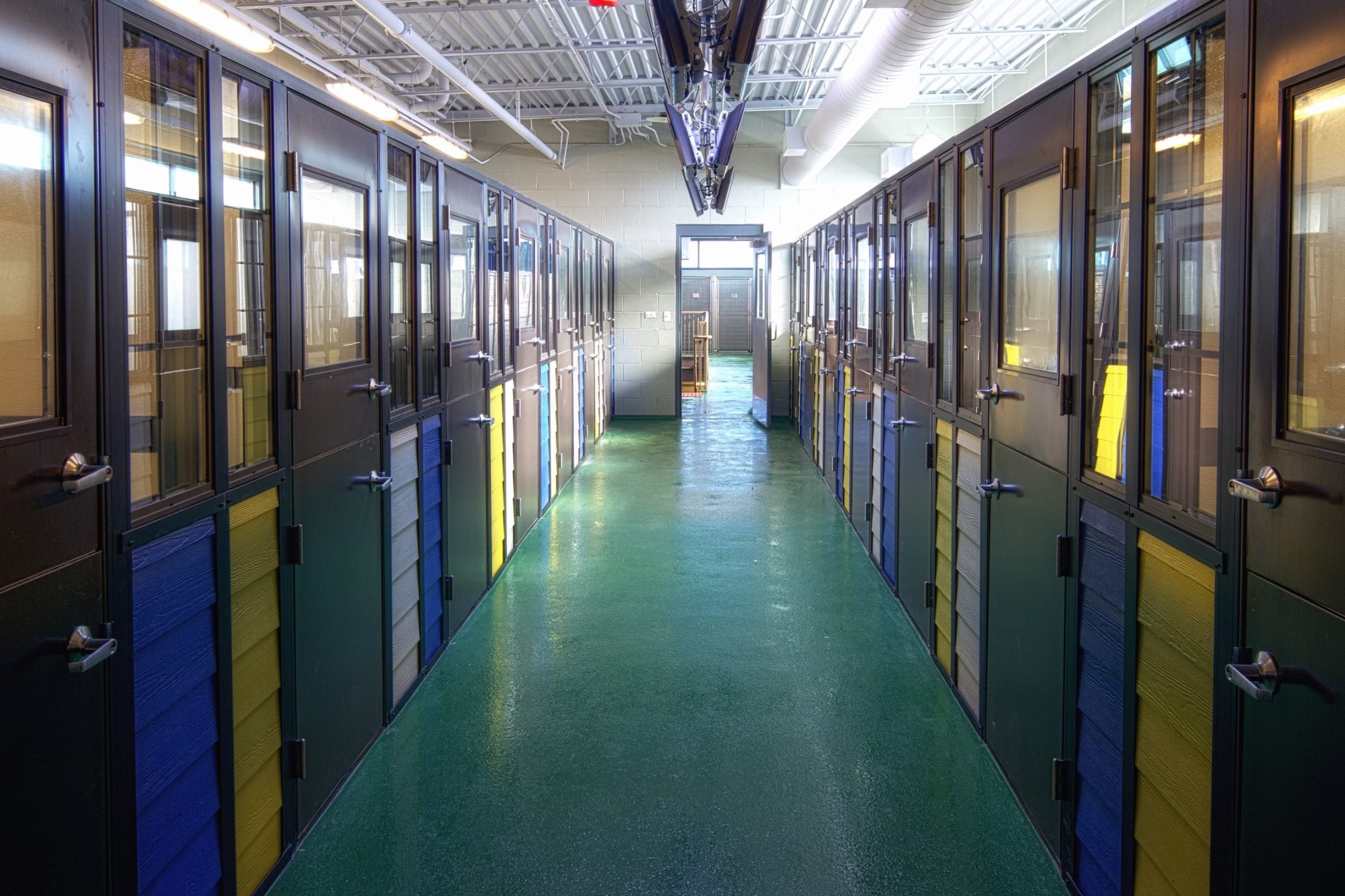 back hallway behind kennels