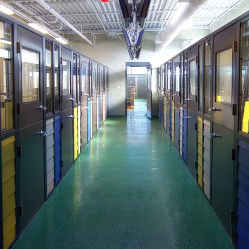 back hallway behind kennels back hallway behind kennels