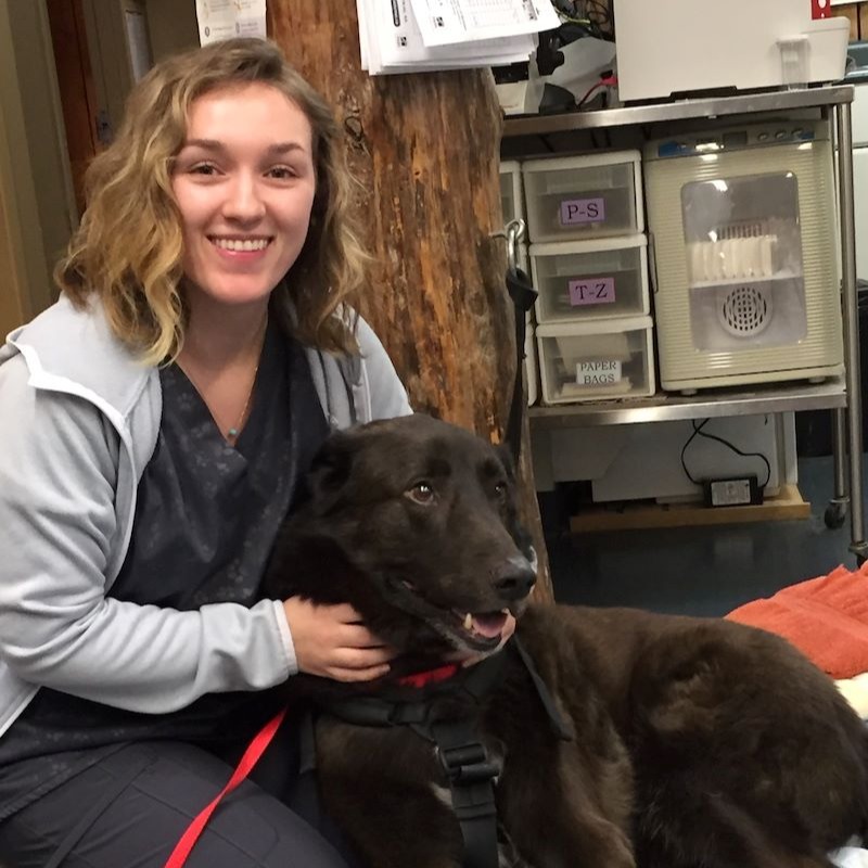 Vet holding dog named Diesel 