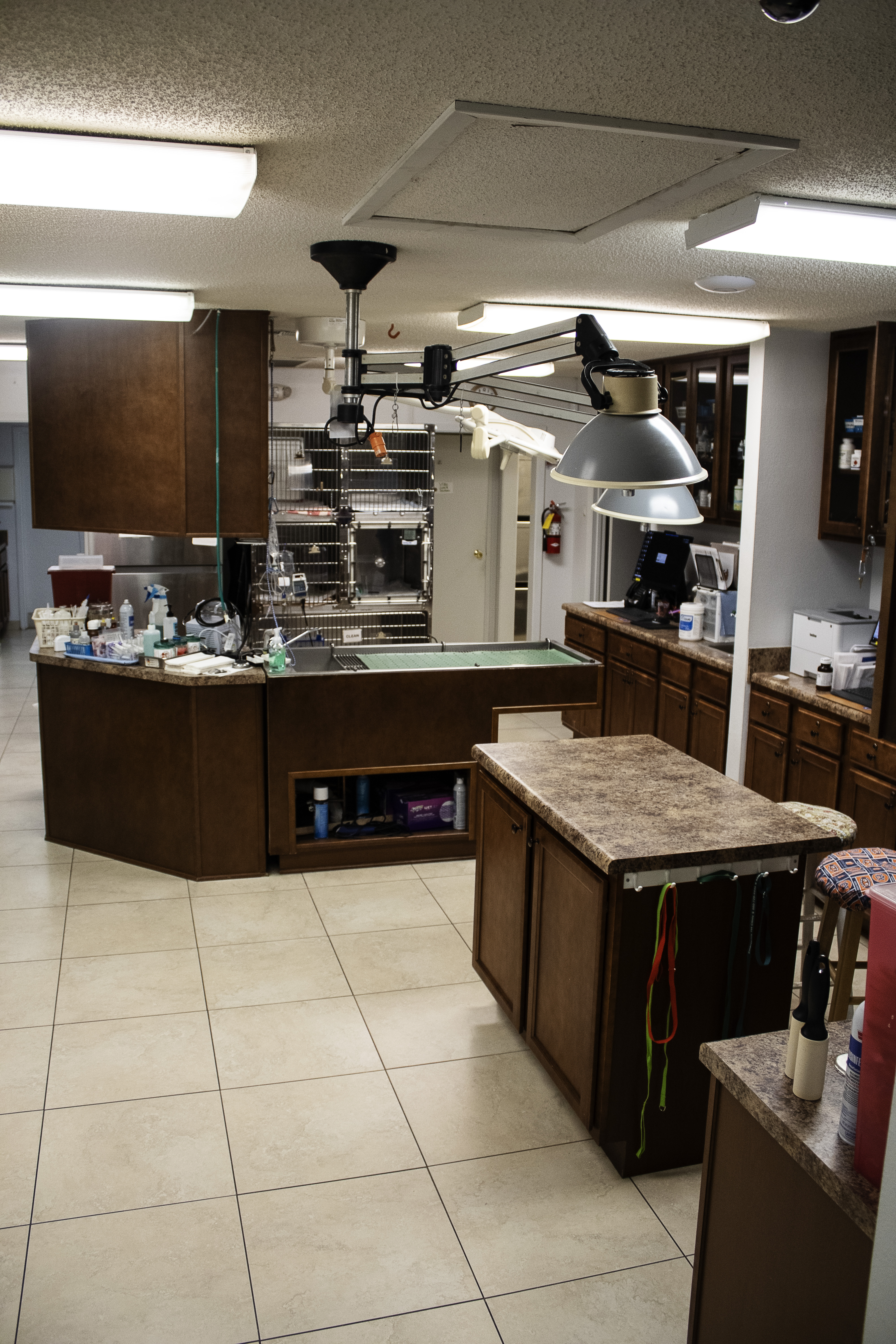 Treatment Room at Parkway Veterinary Hospital