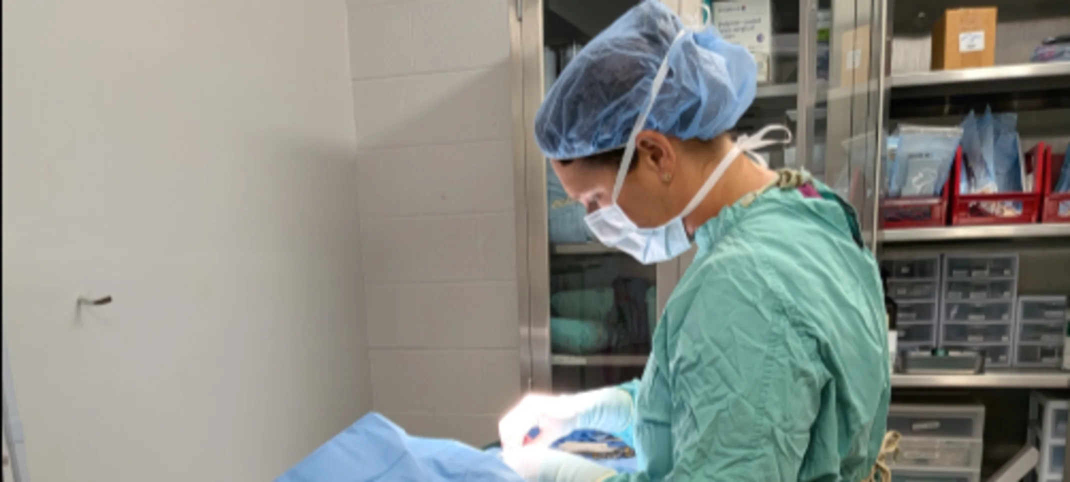 Veterinarian performing soft tissue surgery Veterinarian performing soft tissue surgery