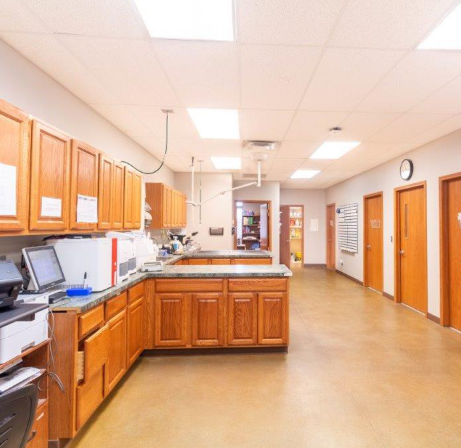 A photo of the treatment room at Dunes Animal Hospital