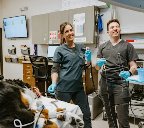 Staff members looking at a monitor Staff members looking at a monitor