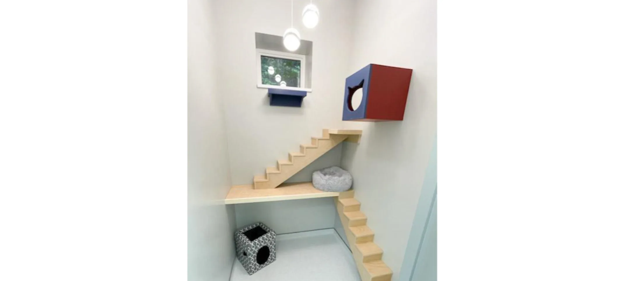 Cat Condo Cat Condo