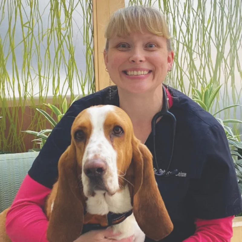 Dr. Rebecca Beisner Dr. Rebecca Beisner