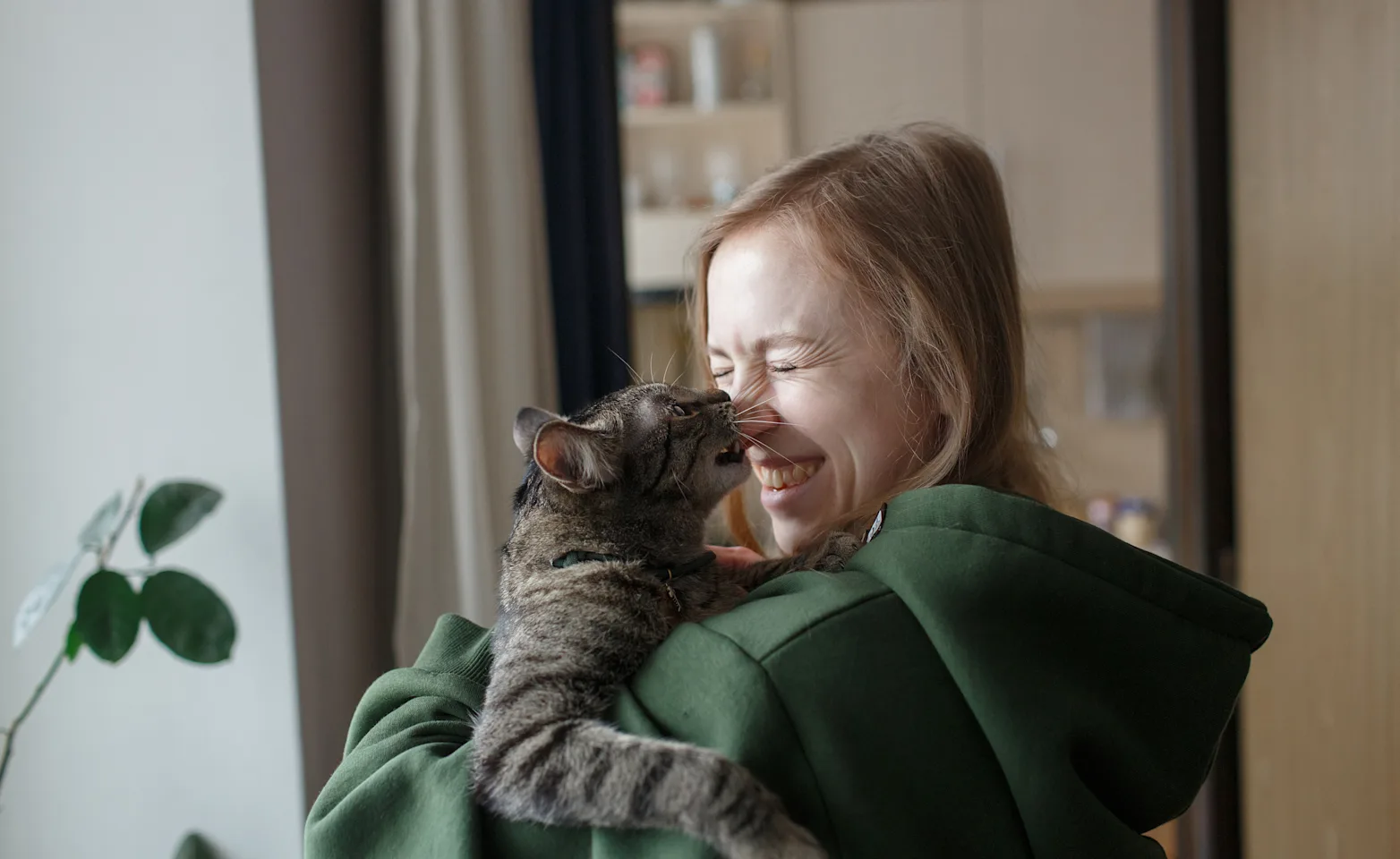 Woman holding cat and smiling Woman holding cat and smiling