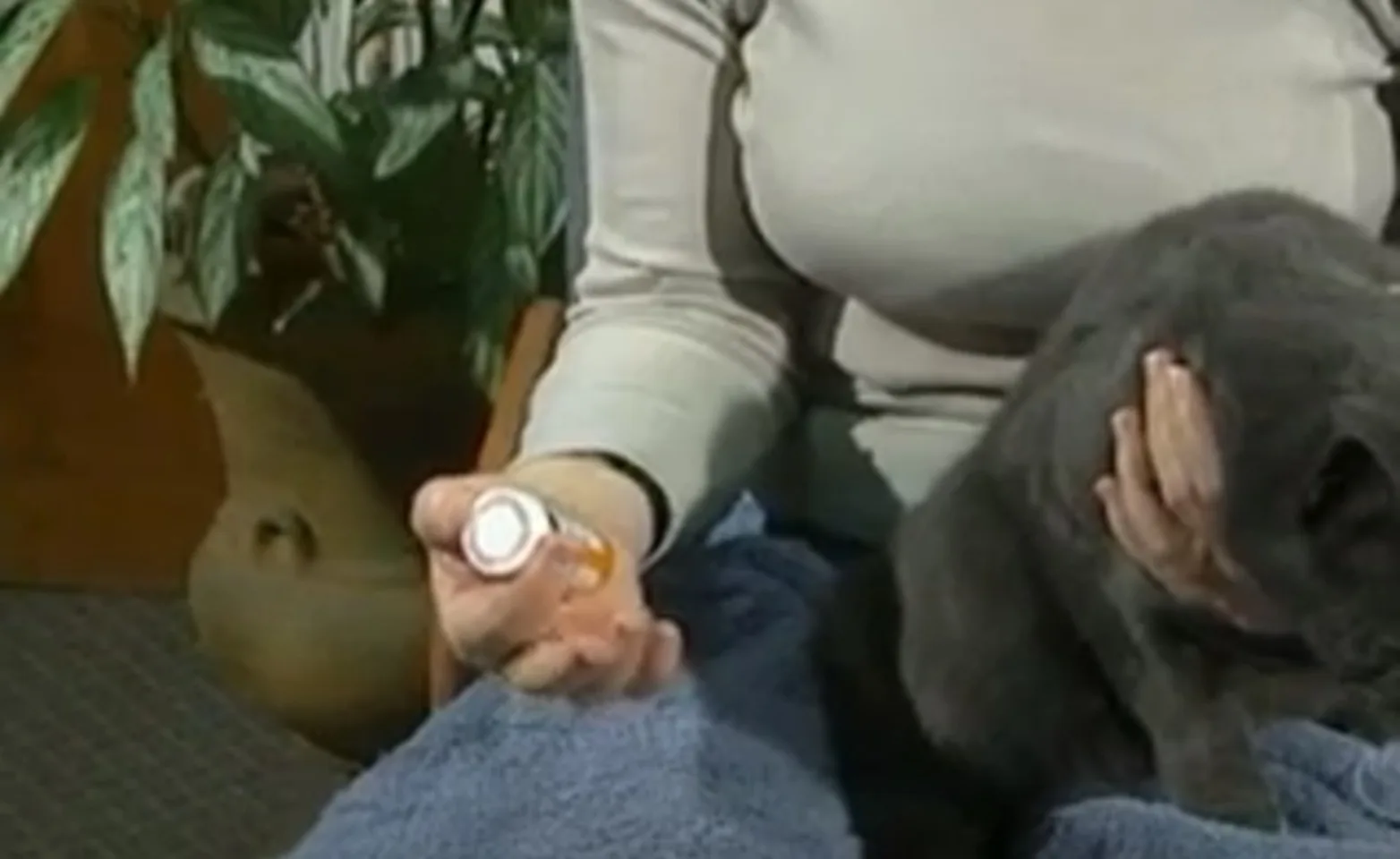 A person giving a cat a pill