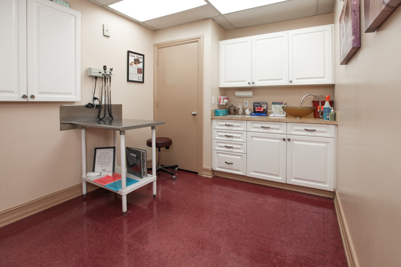 Exam room at The Animalife Veterinary Center