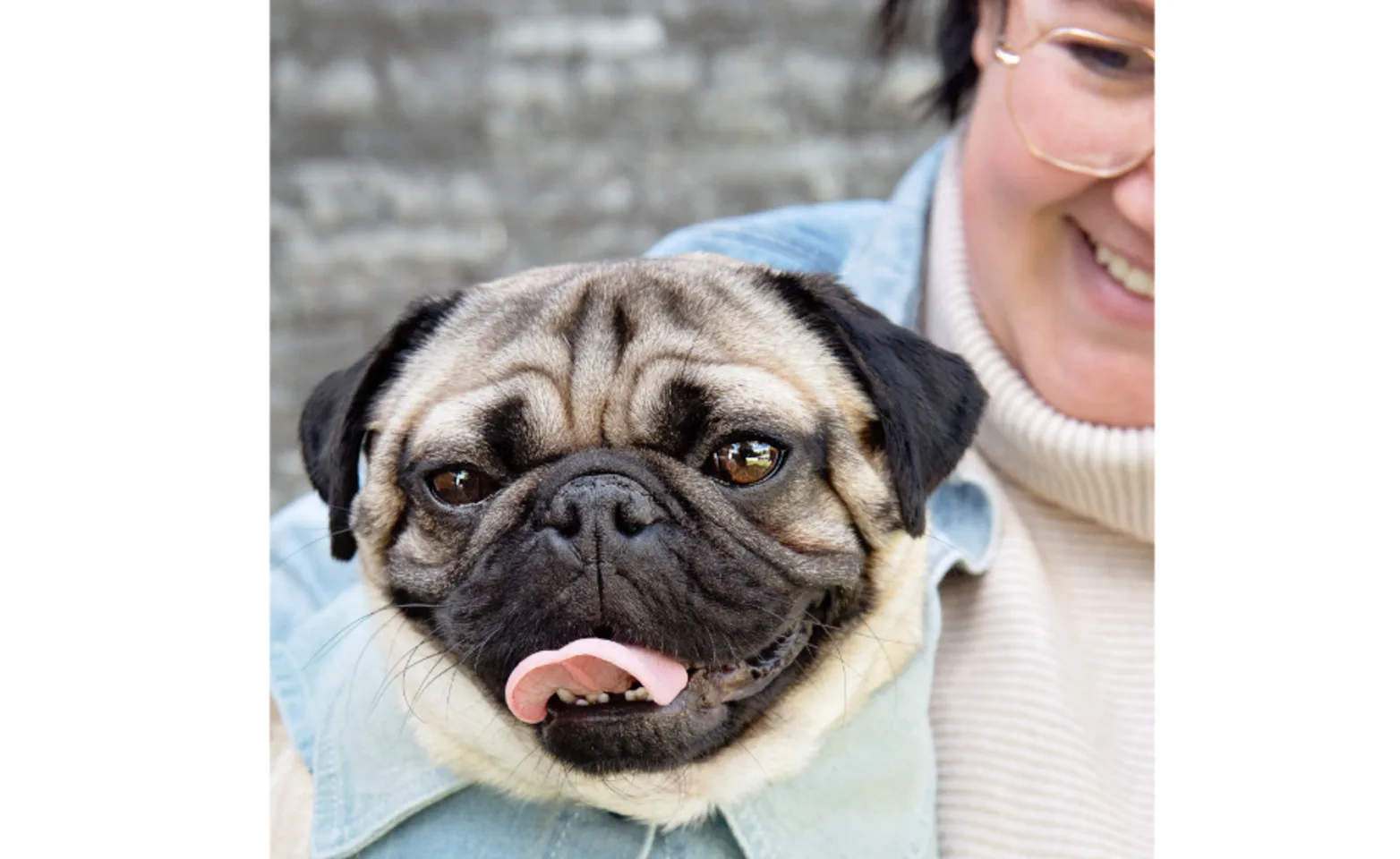 A person holding a smiling pug. A person holding a smiling pug.