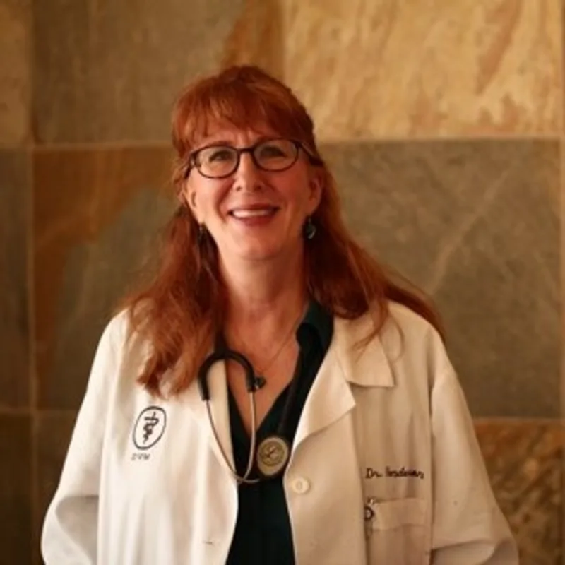 Dr. Lynette Henderson's staff photo from Telegraph Canyon Animal Medical Center posing in front of brick wall Dr. Lynette Henderson's staff photo from Telegraph Canyon Animal Medical Center posing in front of brick wall