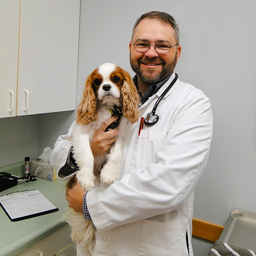 Dr. Jason Down Holding Dog
