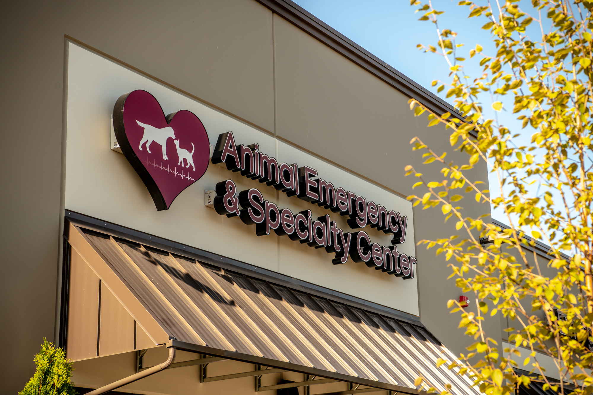 Two staff members sitting wearing black