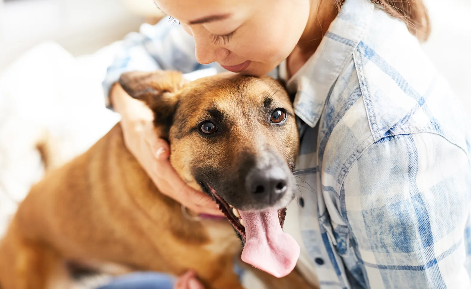 Woman holding dog with its tongue out Woman holding dog with its tongue out