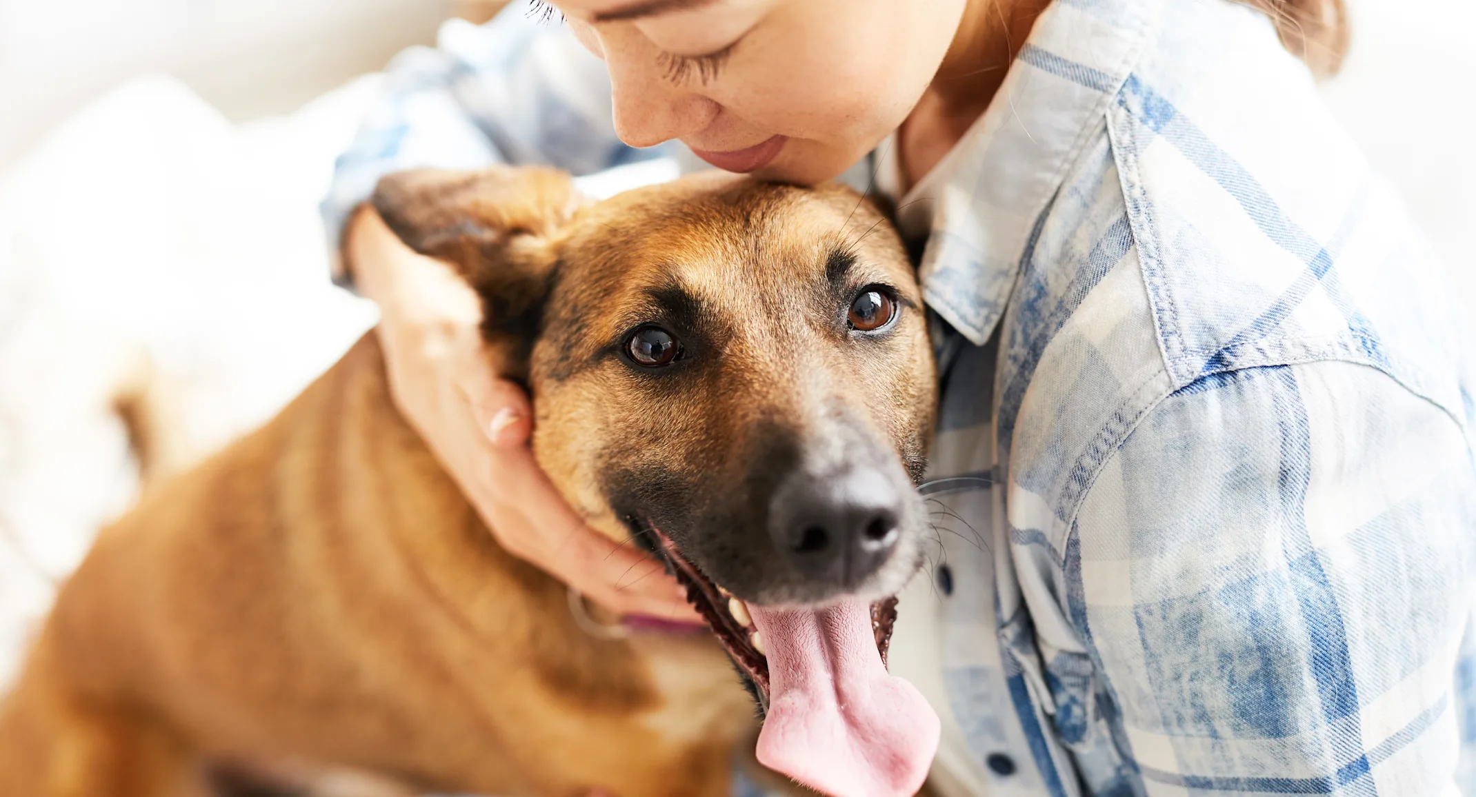 Woman holding dog with its tongue out Woman holding dog with its tongue out