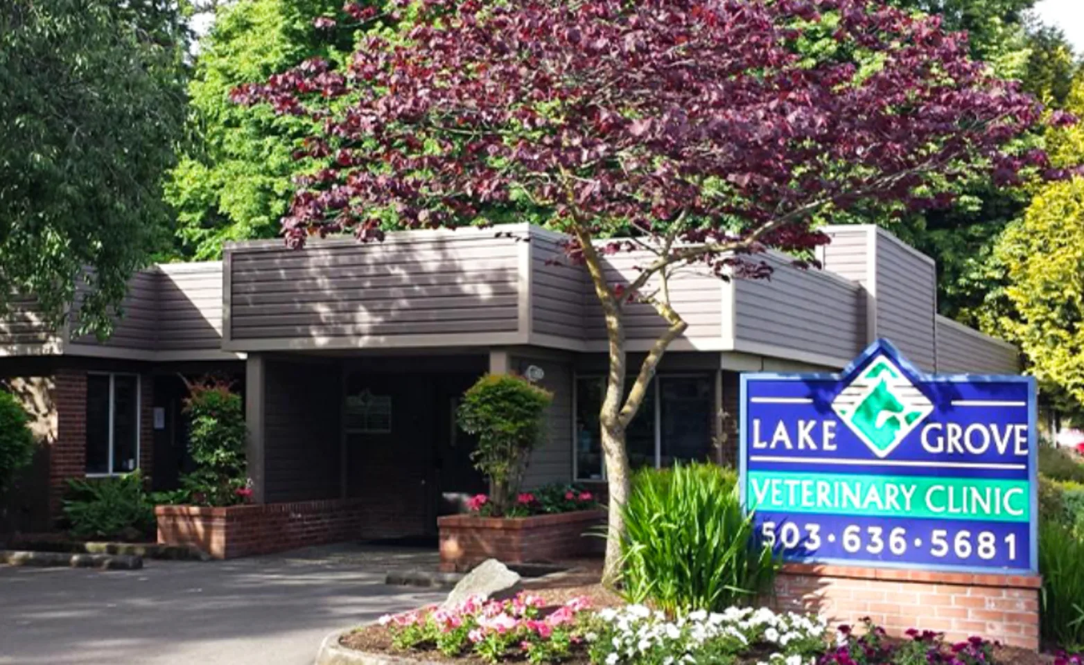 Exterior of Lake Grove Veterinary Clinic