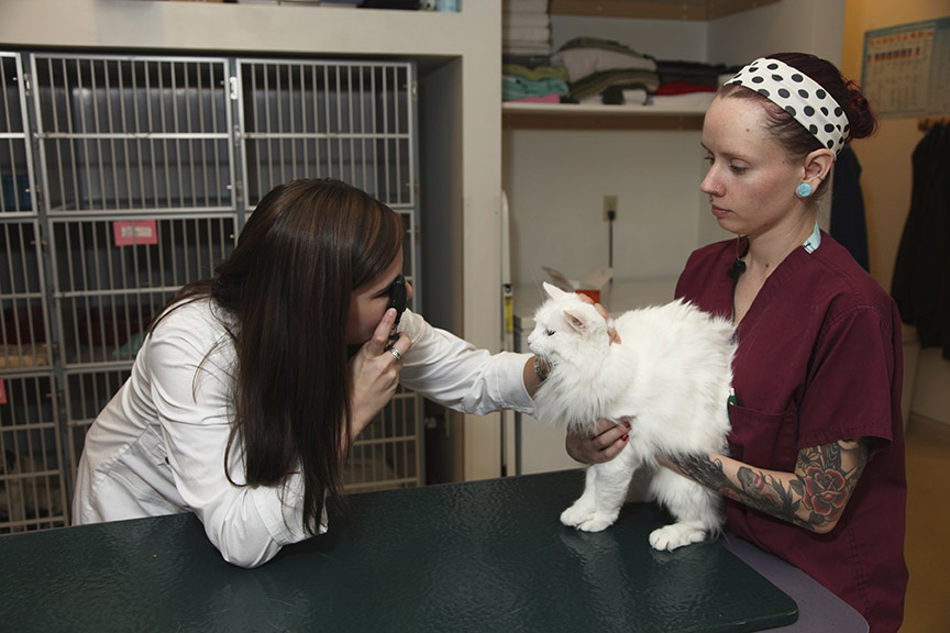 Tender Touch Animal Hospital Dr. Charlotte Thiessen