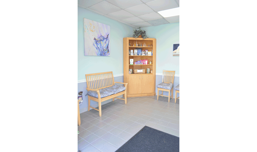 lobby with waiting area at Hidden Valley Animal Hospital