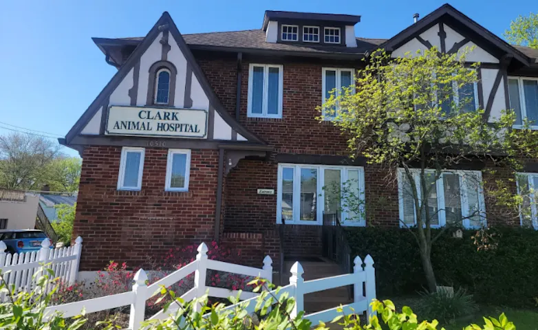 Clark Animal Hospital