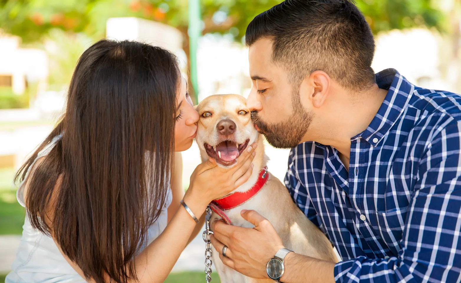 Couple kissing dog with dog happy