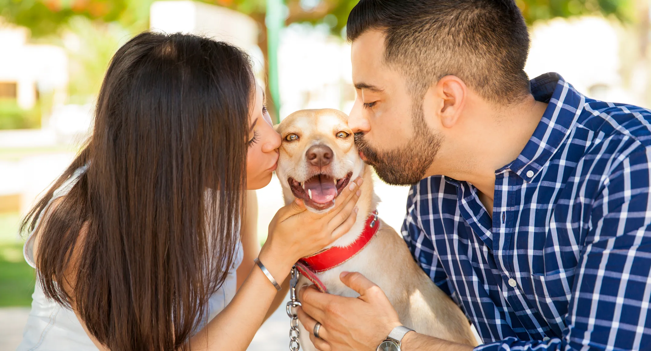 Couple kissing dog with dog happy Couple kissing dog with dog happy
