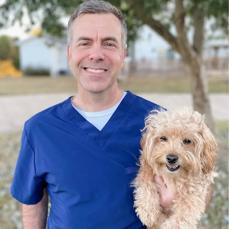 Dr. Laura Erikson from Hillcrest Animal Hospital Dr. Laura Erikson from Hillcrest Animal Hospital