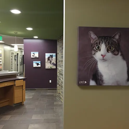 Reception with cat potrait Reception with cat potrait