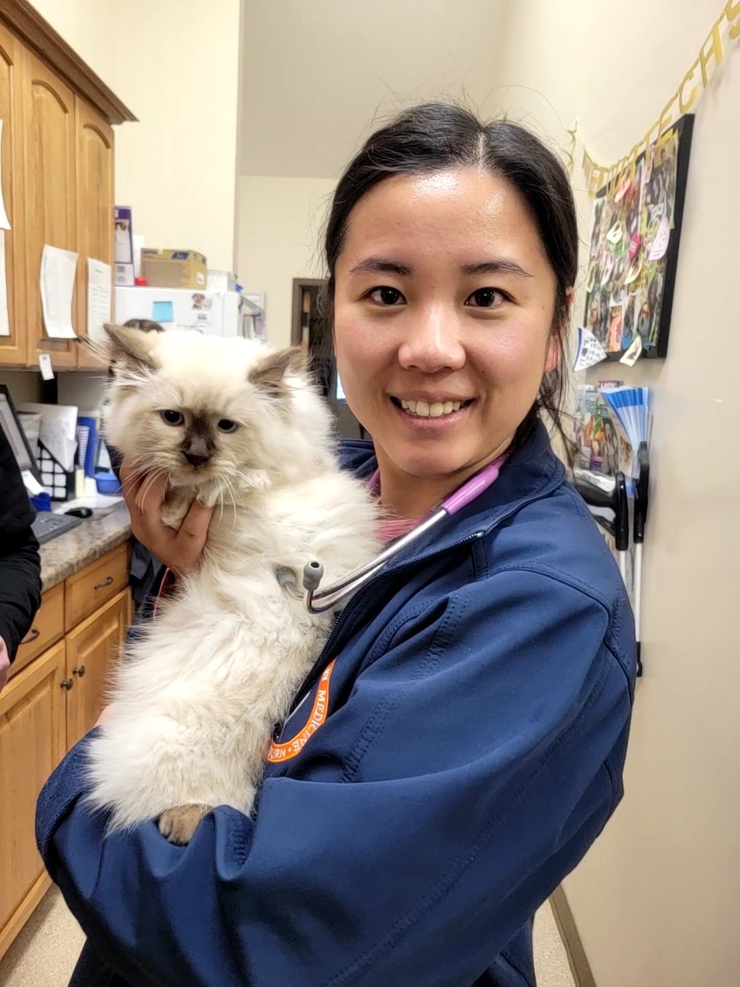 Doctor holding feline patient