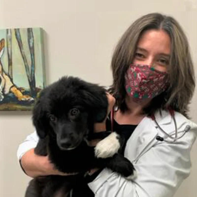 Tara Young Tara Young