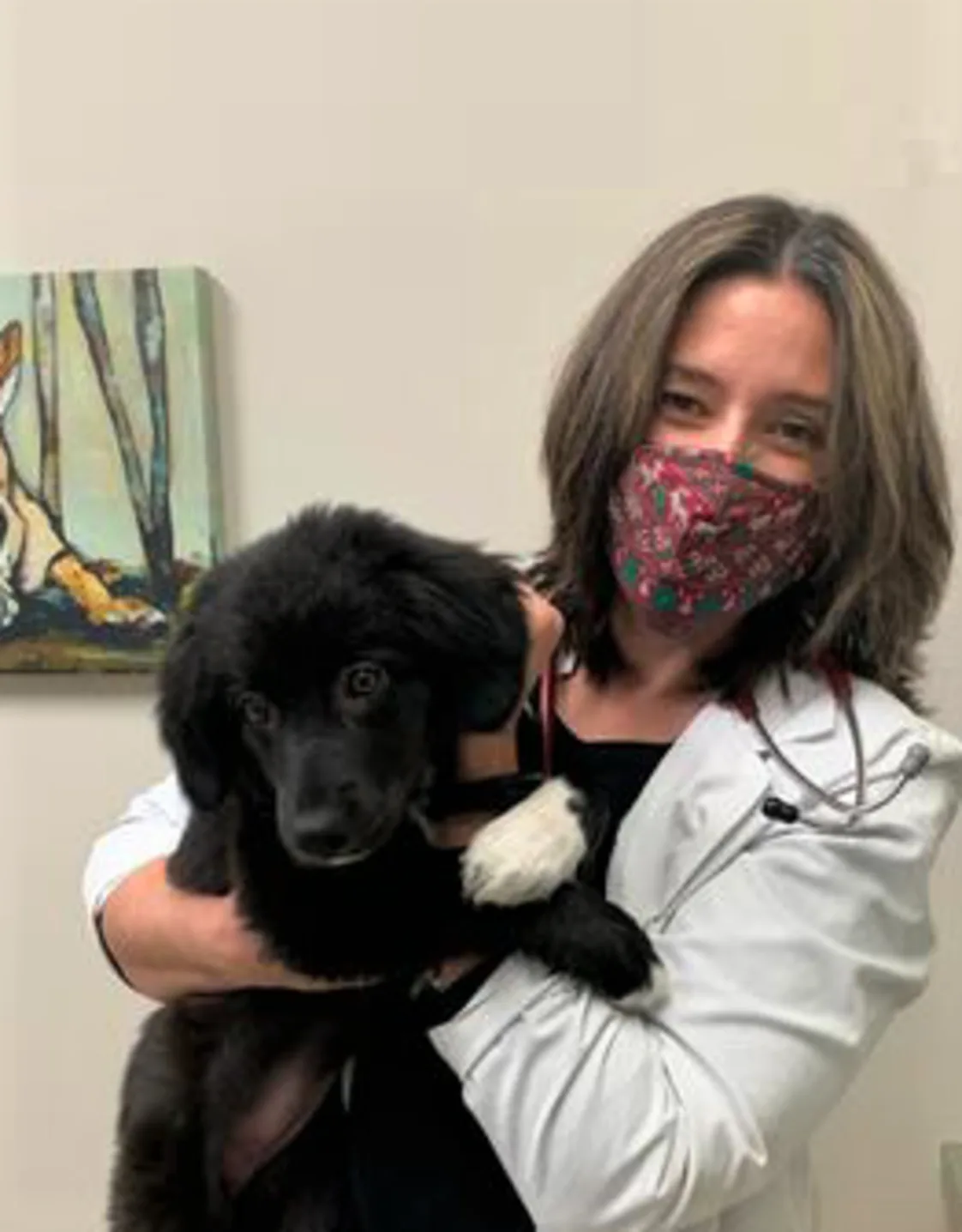 Tara Young Tara Young