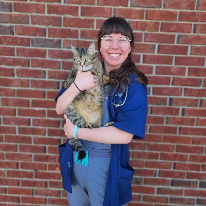 Dr. Harley Engle holding onto a tabby cat while smiling in front of a brick wall. Dr. Harley Engle holding onto a tabby cat while smiling in front of a brick wall.