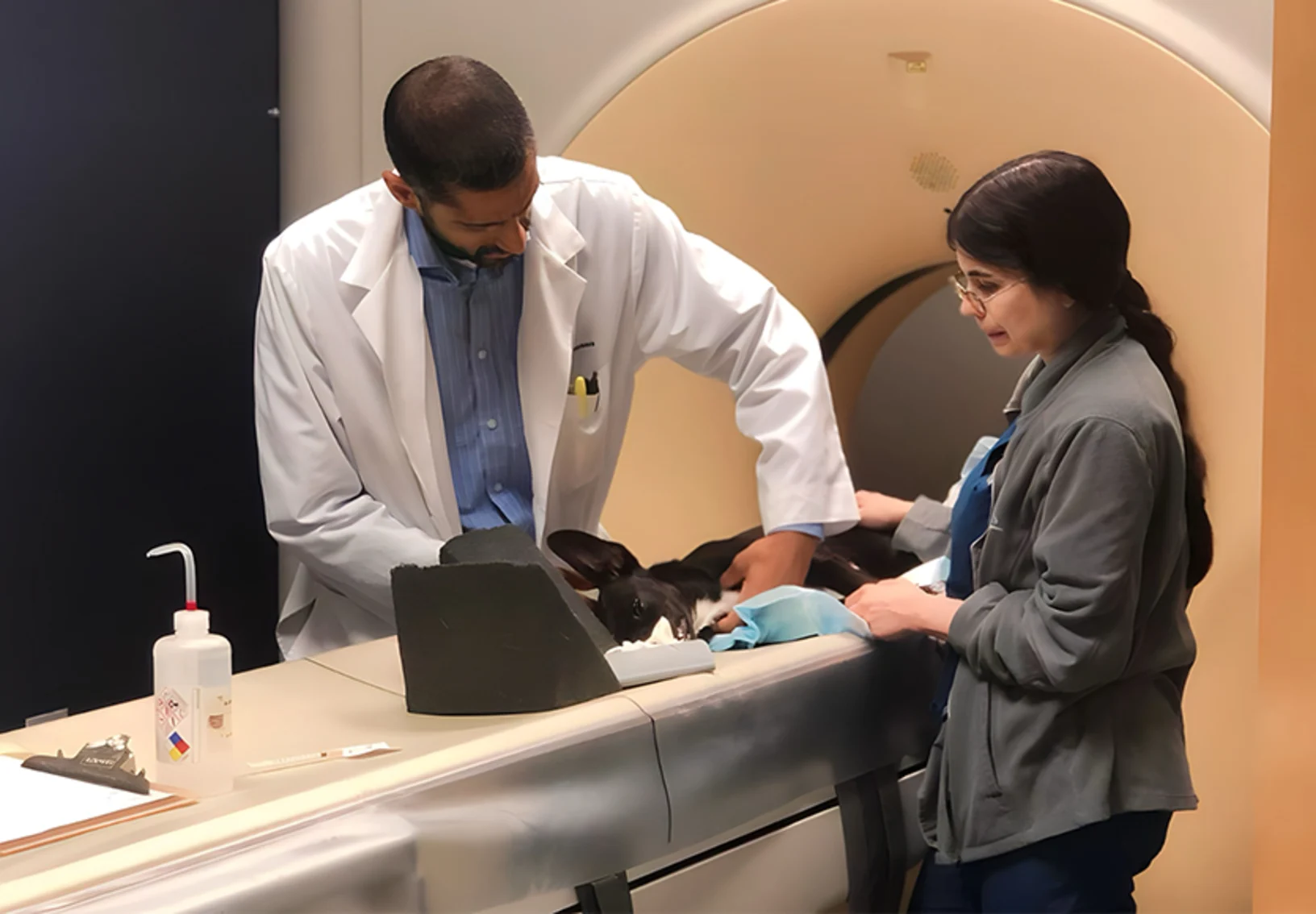 Dr. Neravanda and vet technician, Rachel, conducting a CT scan on a small dog Dr. Neravanda and vet technician, Rachel, conducting a CT scan on a small dog