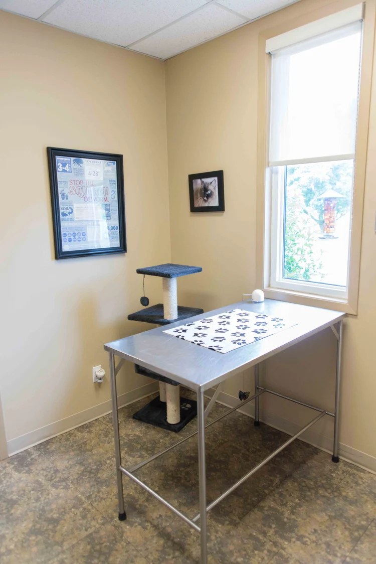 Cat Exam Room