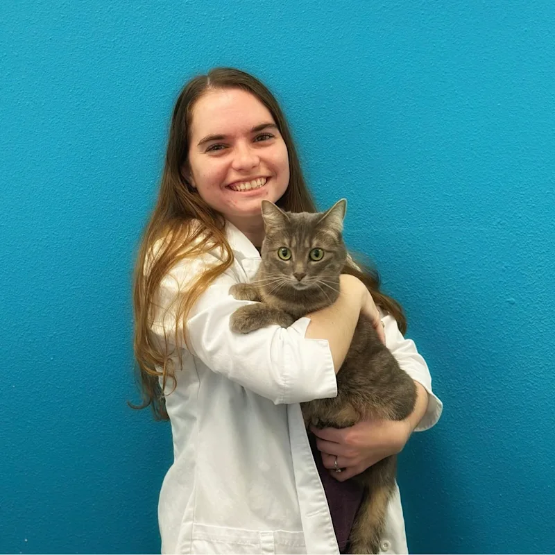 Dr. Tabitha Baibos Dr. Tabitha Baibos