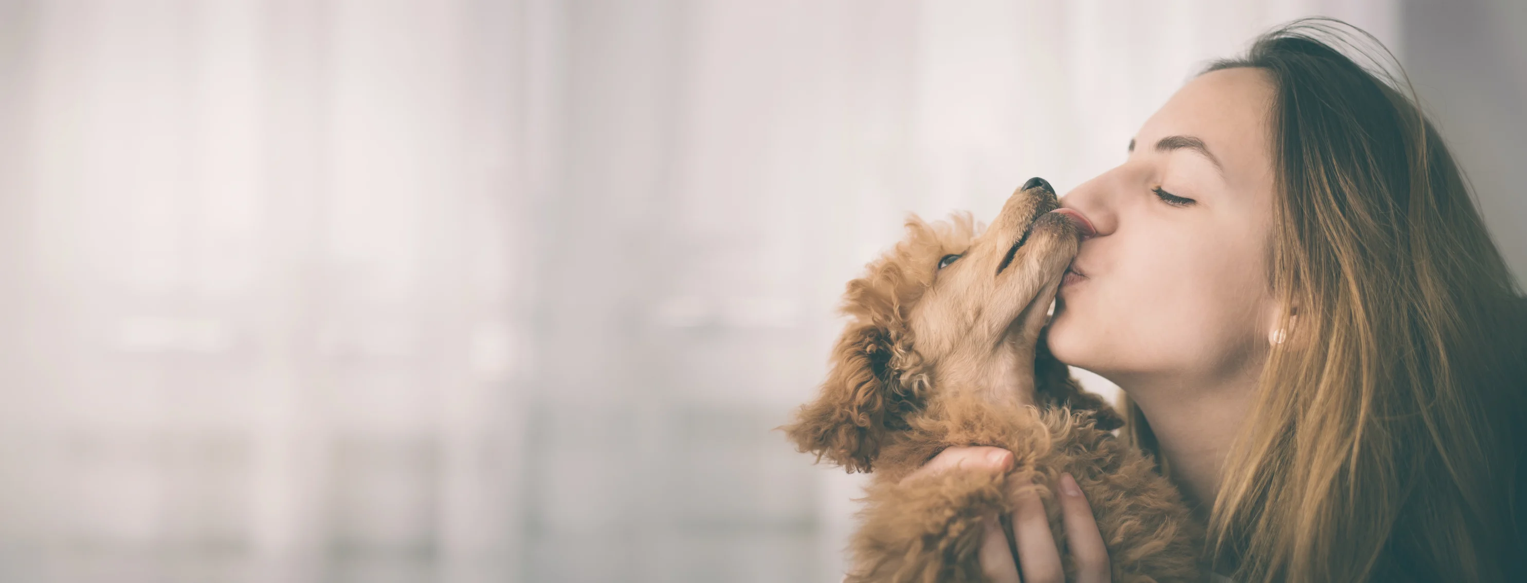 A woman kissing her dog A woman kissing her dog