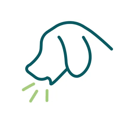 dog coughing icon