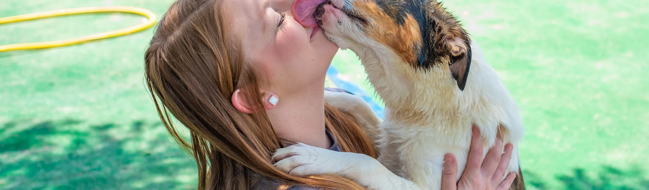 Dog licking woman at Bowhaus Colorado dog daycare Dog licking woman at Bowhaus Colorado dog daycare