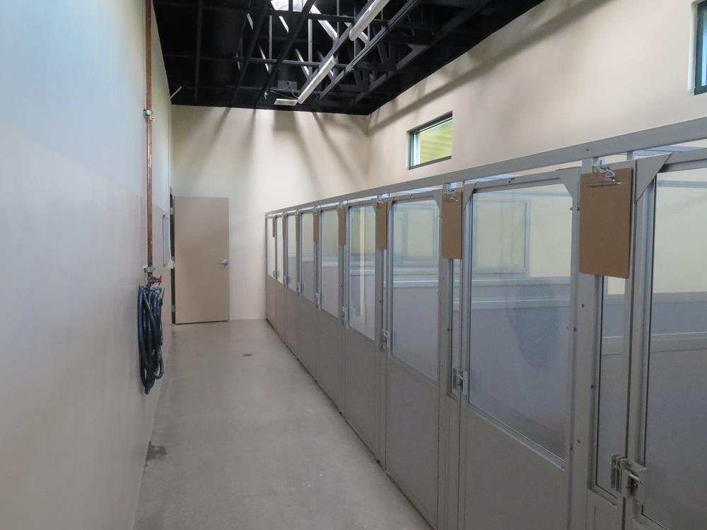 A side view of the boarding kennel room. 