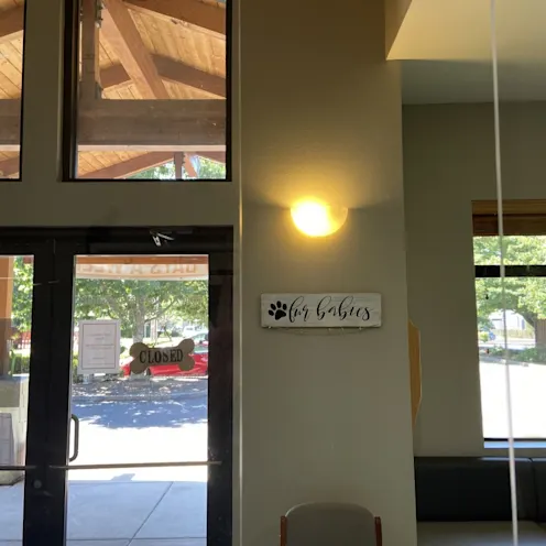 Front door from the inside at The Ark Veterinary Clinic Front door from the inside at The Ark Veterinary Clinic