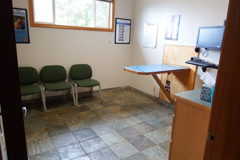 Angeles Clinic for Animals Exam Room