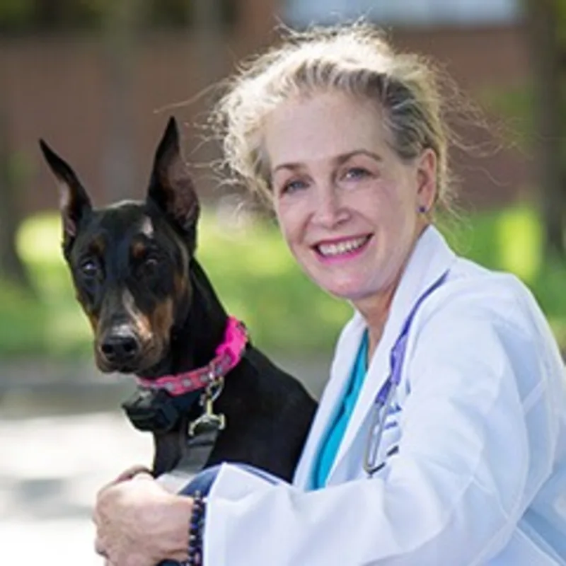 Dr. Cindi Welch at I-20 Animal Medical Center Dr. Cindi Welch at I-20 Animal Medical Center